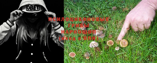 гашишное масло Надым