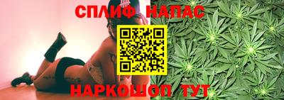 спиды Бийск