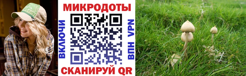закладки  Кимовск  Псилоцибиновые грибы GOLDEN TEACHER 