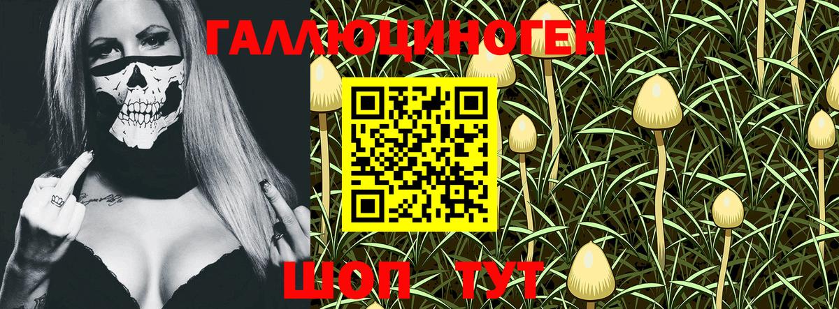 Галлюциногенные грибы Psilocybe  Вход с VPN  Кимовск 