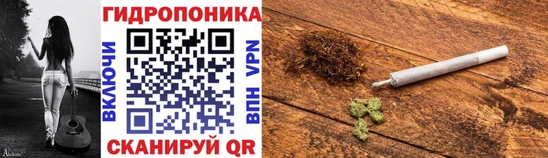 закладка  Кимовск  Шишки марихуана тримм 